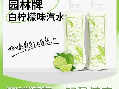 园林牌白柠檬味汽水经典苏州口味汽水童年味道图2