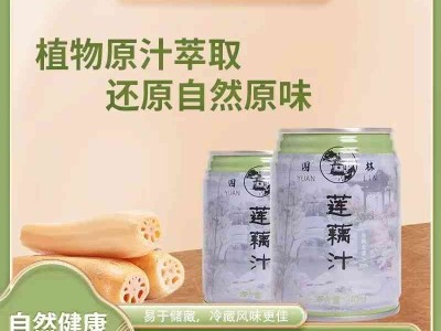 园林牌莲藕汁饮品植物原汁自然原味饮料图2